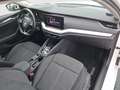Skoda Octavia Style TDI DSG Weiß - thumbnail 25