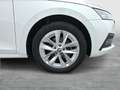 Skoda Octavia Style TDI DSG Weiß - thumbnail 8