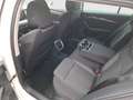 Skoda Octavia Style TDI DSG Weiß - thumbnail 27