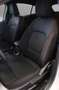 Ford Focus 1.5 EcoBlue 115 CV automatico 5p. ST-Line Grigio - thumbnail 10