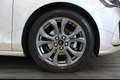 Ford Focus 1.5 EcoBlue 115 CV automatico 5p. ST-Line Grigio - thumbnail 3