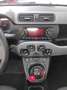 Fiat Panda Panda 1.2 Lounge easypower GPL 69cv my19 * PROMO Rosso - thumbnail 12