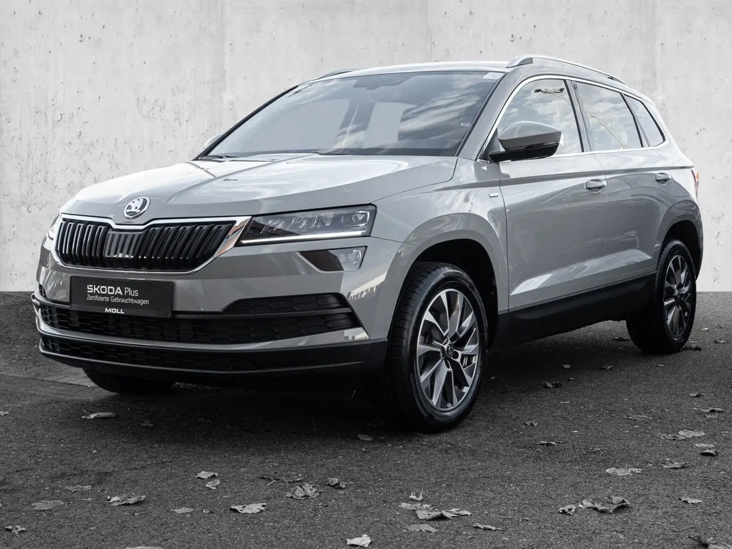 Skoda Karoq 1.5 TSI Ambition Clever SHZ DYNLICHT FLA Grau - 2