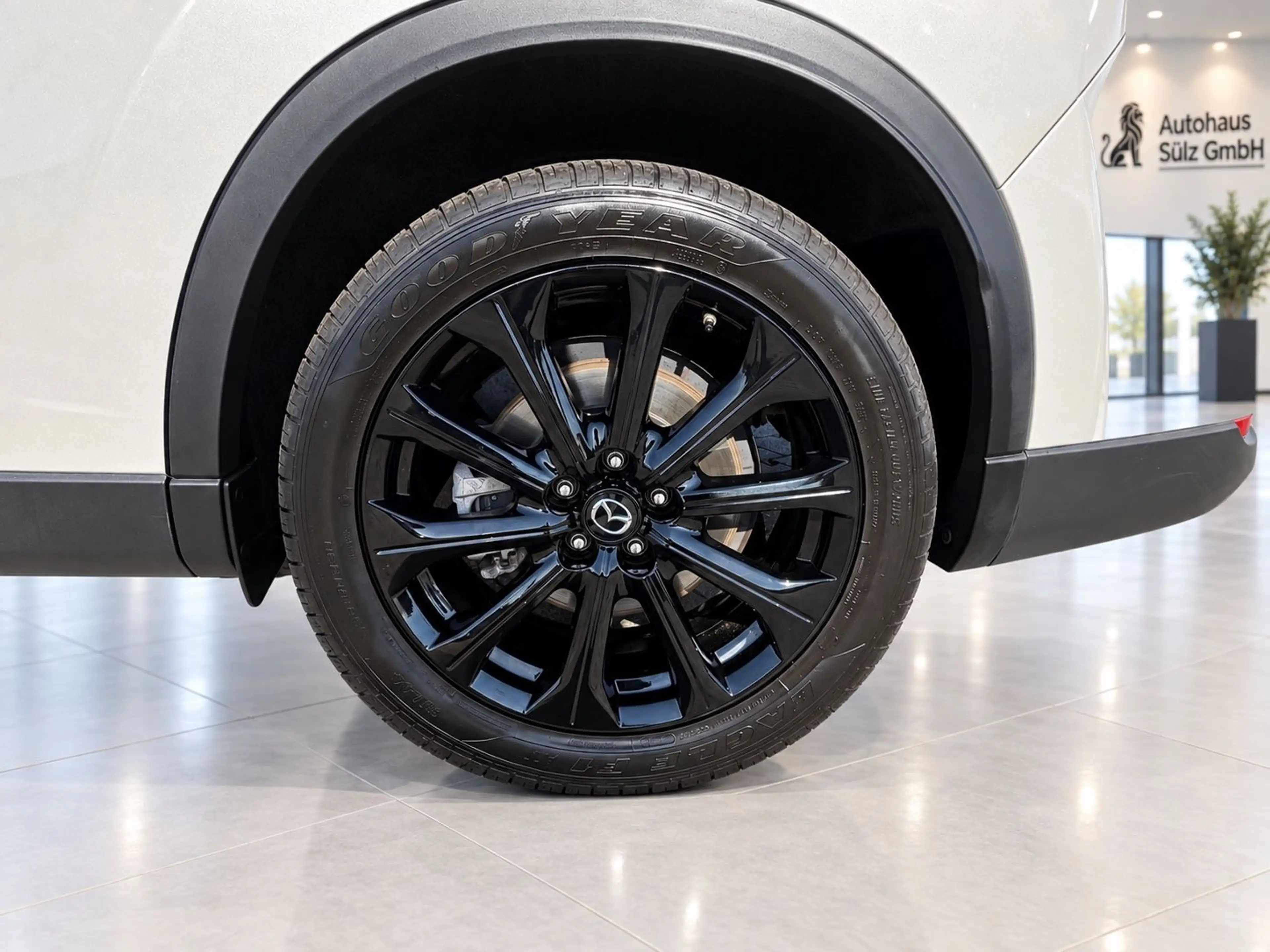 Mazda CX-60 3.3 Exclusive-Line/Kamera/Navi/Automatik — photo 9