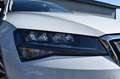 Skoda Superb 1.4 TSI IV Business ED. PLUS, 360 Camera, Trekhaak Wit - thumbnail 8