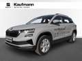 Skoda Karoq 4x4 Selection TDI DSG Grau - thumbnail 1