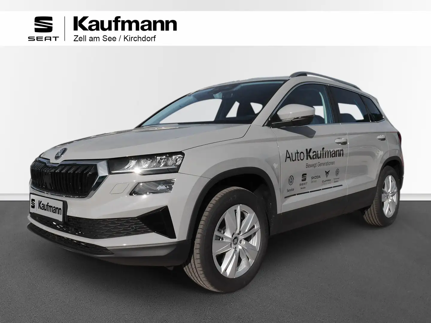 Skoda Karoq 4x4 Selection TDI DSG Grau - 1