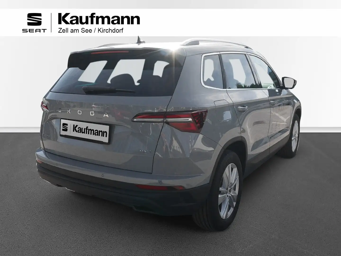 Skoda Karoq 4x4 Selection TDI DSG Grau - 2
