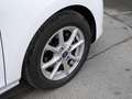 Ford Fiesta 1.0 EcoBoost 125ch mHEV Titanium 5p Blanc - thumbnail 7
