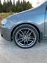 Volkswagen Golf Golf 1.6 TDI 105 FAP CR Trendline - thumbnail 2