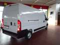 Fiat Ducato 33Q 2.3MJT 120CV PLUNGO-TM Furgone Blanc - thumbnail 3
