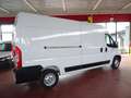 Fiat Ducato 33Q 2.3MJT 120CV PLUNGO-TM Furgone Blanc - thumbnail 4