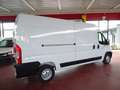 Fiat Ducato 33Q 2.3MJT 120CV PLUNGO-TM Furgone Blanc - thumbnail 5