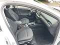 Ford Focus Turnier Titanium Navi Kamera LED 2xPDC SHZ Weiß - thumbnail 19