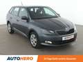 Skoda Fabia 1.2 TSI Ambition*PDC*TEMPO*KLIMA*GARANTIE* Grau - thumbnail 8