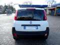 Fiat Panda 1.2 POP 69cv VAN Euro6d *Solo km 14000** bijela - thumbnail 12