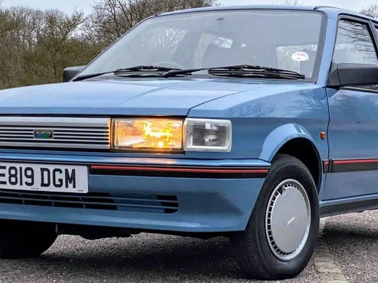 MG MAESTRO, foto 2