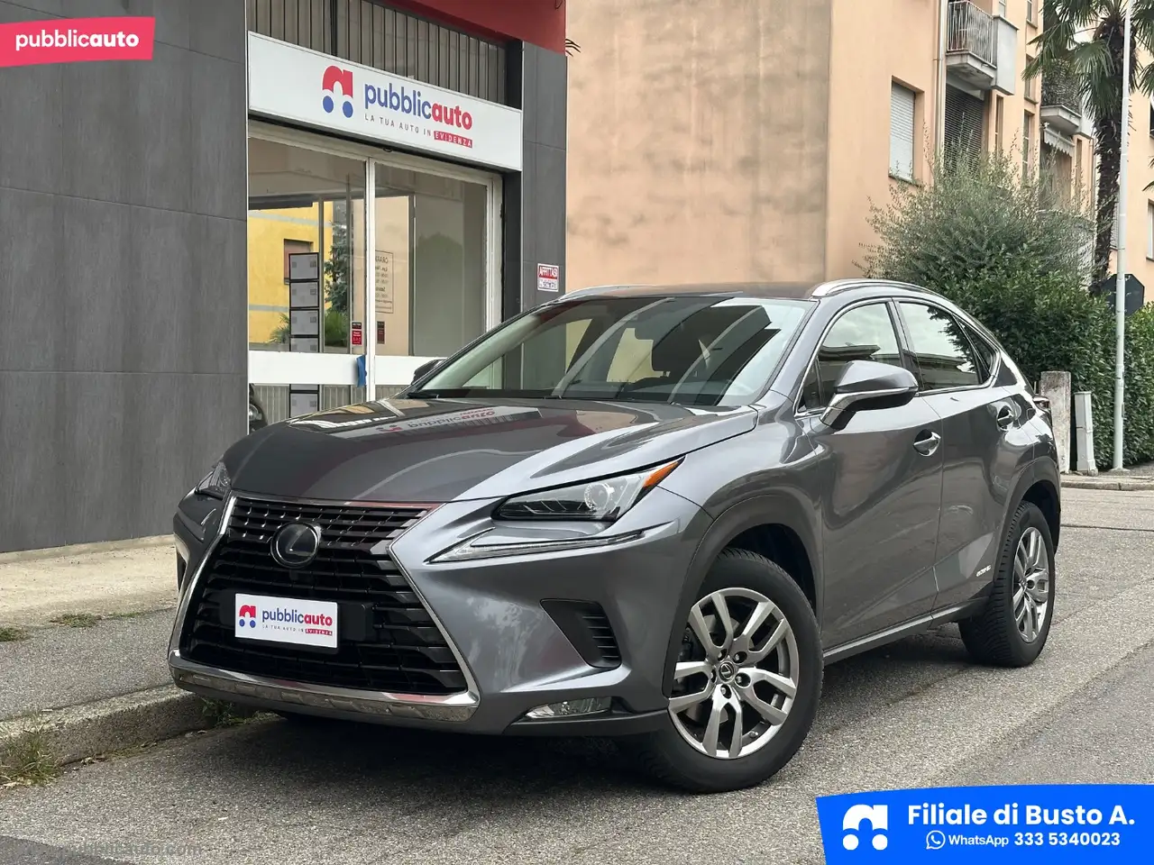 Lexus NX 300h