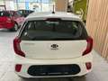 Kia Picanto 1.0i  *GARANTIE 02/2028* Blanco - thumbnail 5