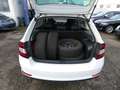 Skoda Rapid/Spaceback Ambition Weiß - thumbnail 6