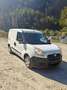 Fiat Doblo 1,3 Multijet 90 Kastenwagen, Ahk, Pickerl neu Weiß - thumbnail 2