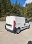 Fiat Doblo 1,3 Multijet 90 Kastenwagen, Ahk, Pickerl neu Weiß - thumbnail 3