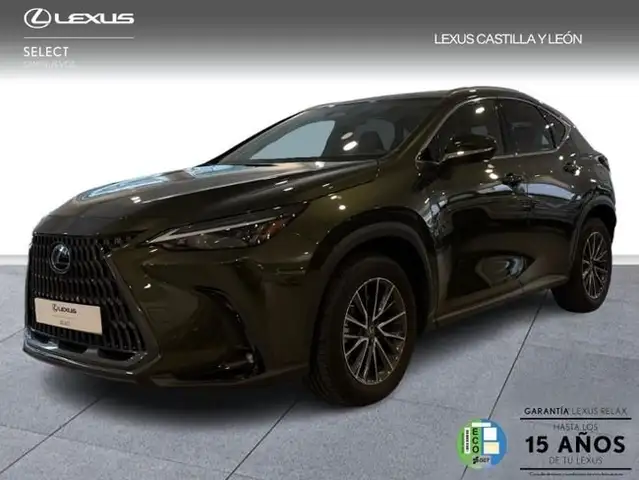 Lexus NX 350h Executive 2WD