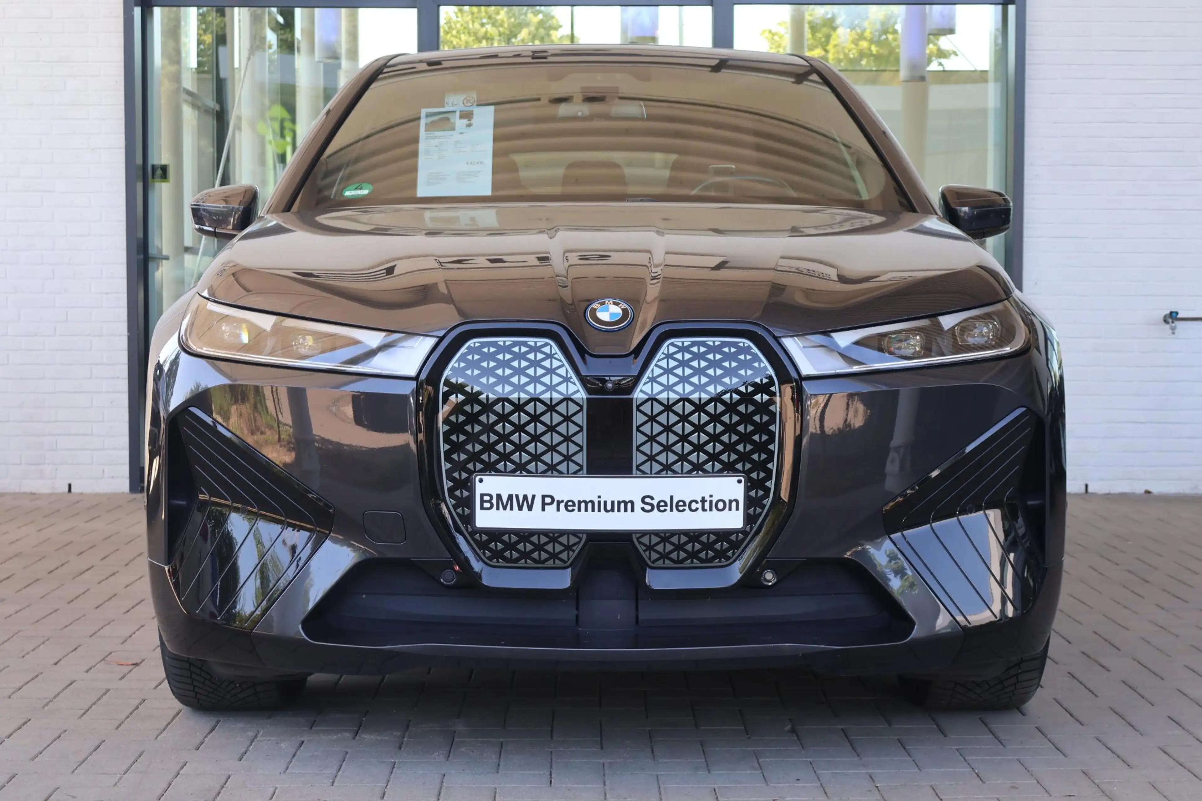 BMW iX xDrive40 High Executive 77 kWh Driving Assistant P — photo 3