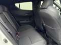 Toyota C-HR 125H Advance Blanco - thumbnail 7