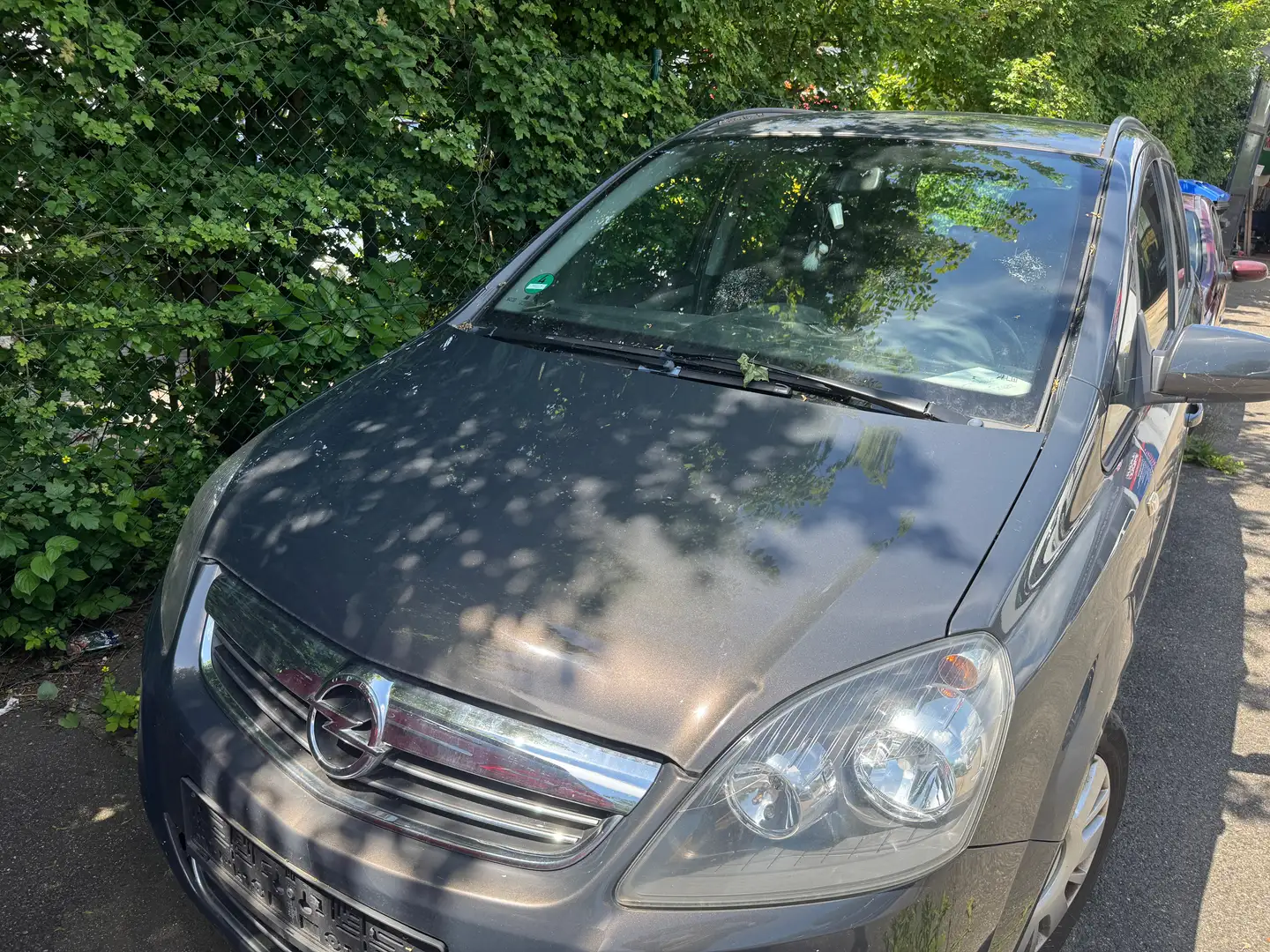 Opel Zafira Family Grau - 2