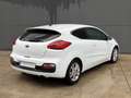 Kia Ceed / cee'd Cee´d 1.6GDi Drive - thumbnail 3
