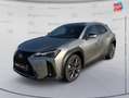 Lexus UX 300h 300h F SPORT Design 2WD Grigio - thumbnail 1