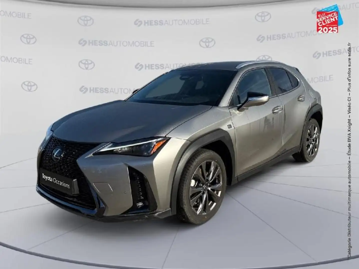 Lexus UX 300h 300h F SPORT Design 2WD Grau - 1