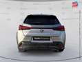 Lexus UX 300h 300h F SPORT Design 2WD Grigio - thumbnail 7