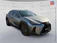 Lexus UX 300h 300h F SPORT Design 2WD Grigio - thumbnail 3
