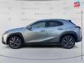 Lexus UX 300h 300h F SPORT Design 2WD Grau - thumbnail 9