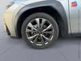Lexus UX 300h 300h F SPORT Design 2WD Grigio - thumbnail 10