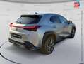 Lexus UX 300h 300h F SPORT Design 2WD Grigio - thumbnail 6