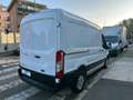 Ford Transit 350 L2H2 TREND 2.0 ECO MHEV 130 CV - PDC/LED Weiß - thumbnail 4