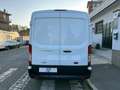 Ford Transit 350 L2H2 TREND 2.0 ECO MHEV 130 CV - PDC/LED Weiß - thumbnail 5