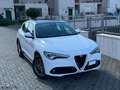 Alfa Romeo Stelvio 2.2 t Executive rwd 190cv , TETTO, PELLE, FULL Bianco - thumbnail 3
