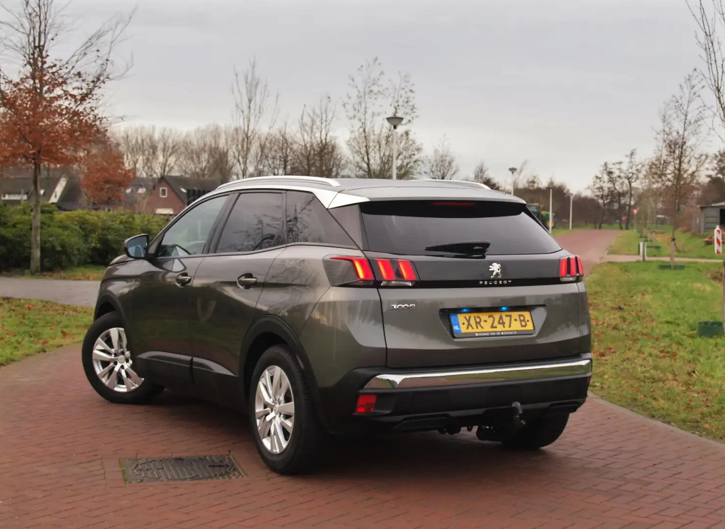 Peugeot 3008 1.2 PureTech Active | Apple Carplay | Camera | Cru Gris - 2