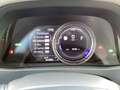 Lexus UX 250h 4x4  F-Sport *Martrix LED*Schiebedach* Grijs - thumbnail 16