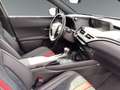 Lexus UX 250h 4x4  F-Sport *Martrix LED*Schiebedach* Grau - thumbnail 19