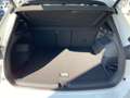 Volkswagen Tiguan 2.0 TDI DSG R-Line*LED*NAVI*AHK* Weiß - thumbnail 14