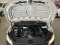 Volkswagen Caddy 2.0TDI Kombi 4M 90kW Blanco - thumbnail 20