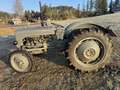 Oldtimer England Massey Ferguson TED20 Grau - thumbnail 3