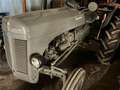 Oldtimer England Massey Ferguson TED20 Grau - thumbnail 4