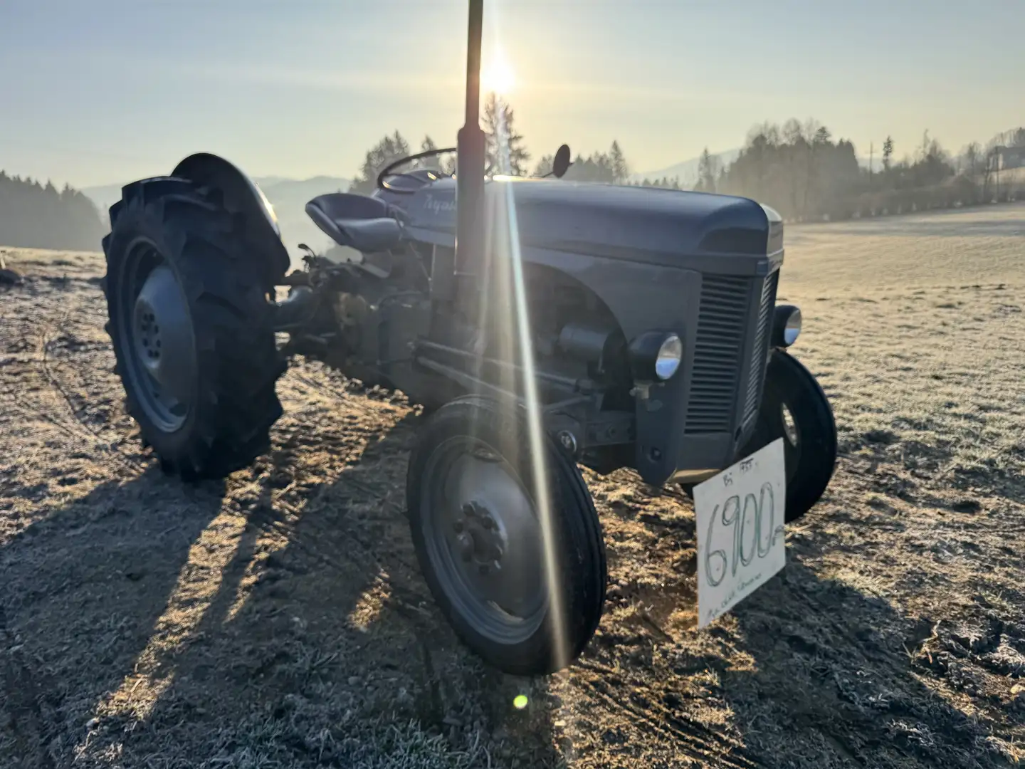 Oldtimer England Massey Ferguson TED20 Grau - 2
