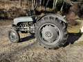 Oldtimer England Massey Ferguson TED20 Grau - thumbnail 13